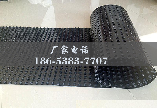 排水板廠家http://alexandertechnique-running.com/